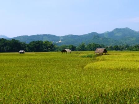 laos paysage